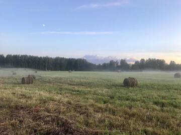 Фото номера Дом с 2 спальнями Дома для отпуска Srokowski Dwór 1 - domek 70m2 г. Srokowo 21