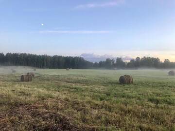 Фото номера Дом с 2 спальнями Дома для отпуска Srokowski Dwór 1 - domek 70m2 г. Srokowo 38