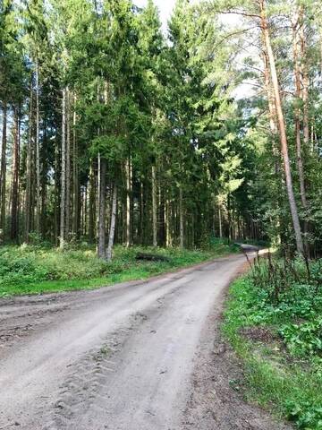 Фото номера Дом с 1 спальней Дома для отпуска Srokowski Dwór 1 - Stara Kuźnia г. Srokowo 33